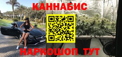 крисы Краснознаменск