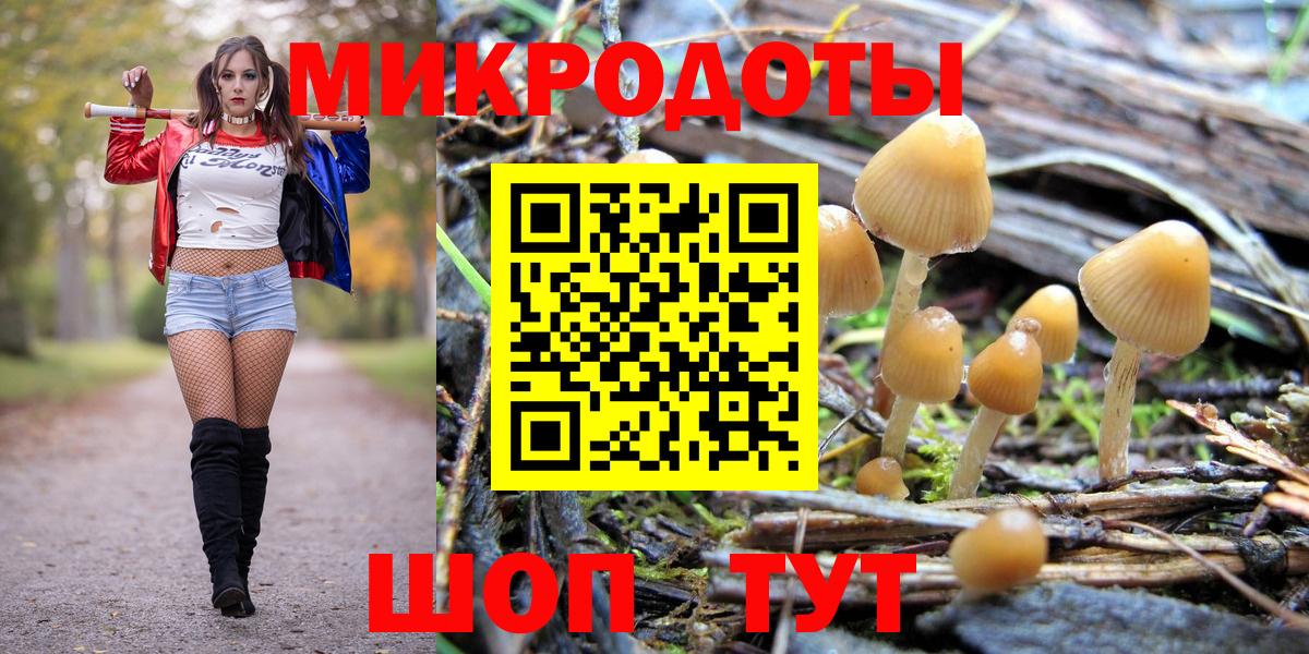 Псилоцибиновые грибы мухоморы  Псилоцибиновые грибы MAGIC MUSHROOMS  Вход с VPN  Кореновск 