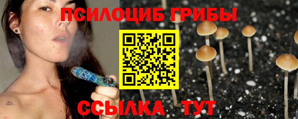 Псилоцибиновые грибы мухоморы Кореновск